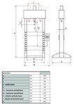 Hydraulische Presse 30T mit Hand- und Fußsteuerung